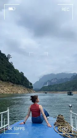 Phi điểu và ve sầu