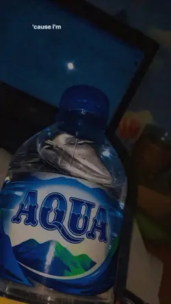 AQUA dulu