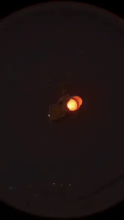night walks