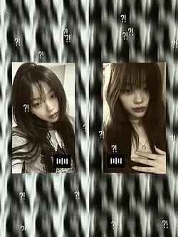 ver collab ber 2