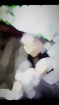 ຂໍຕິດຕາມເດ