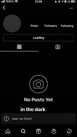 ss instagram