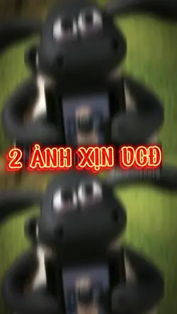 [1] CAP SẴN