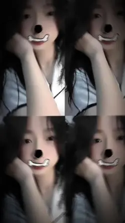 2 ảnh vòng lặp