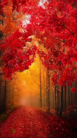 Beautiful Sunday