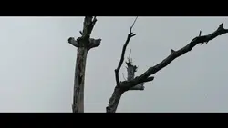 cinematic estetik 