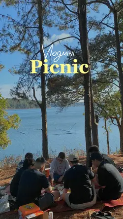 Picnic