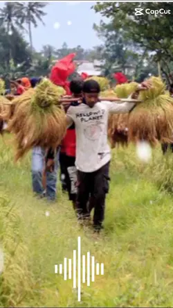 Pesta Panen
