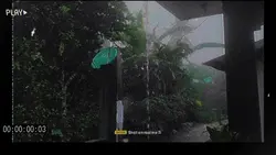RainyDay
