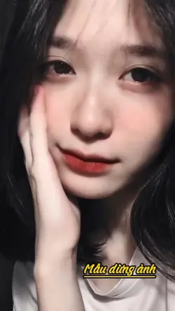 Mẫu Dừng Hình 