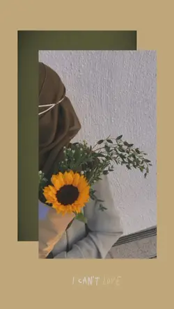 estetikvideo 