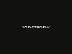 unexpected friends
