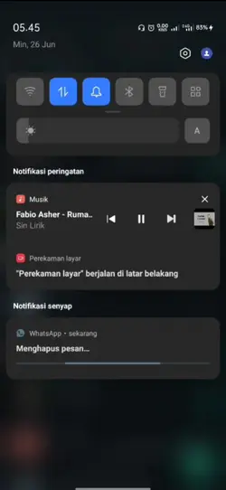 Prank hapus story wa