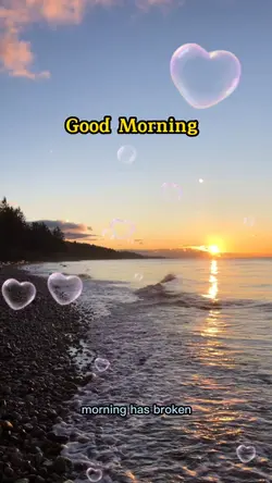 Good Morning 