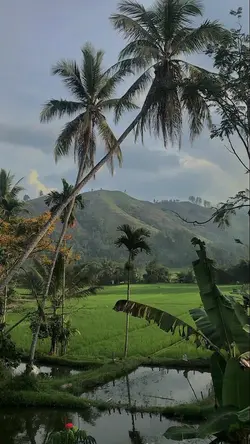 Anak kampung