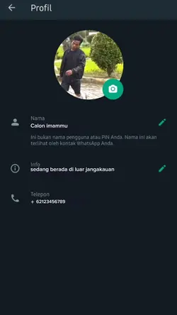 Tren profil video Wa