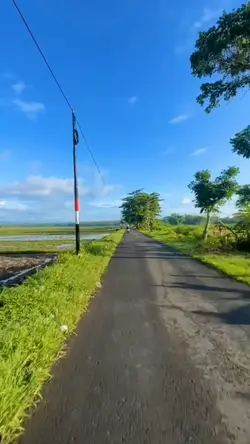 selowmotion