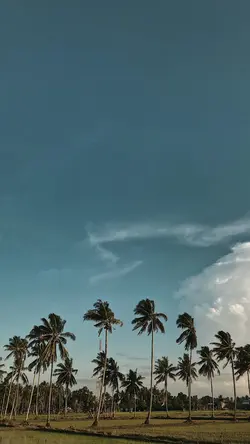 LiriLaguUkulele