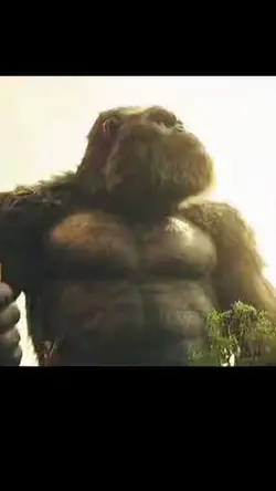 #KINGKONG
