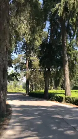 MENGEJAR MIMPI