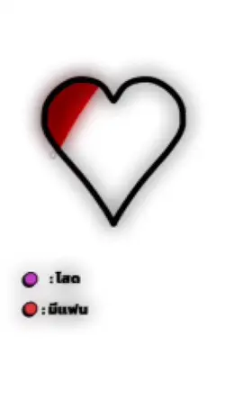rc;peeranut_55