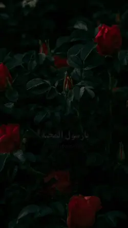 Ya Rasulullah