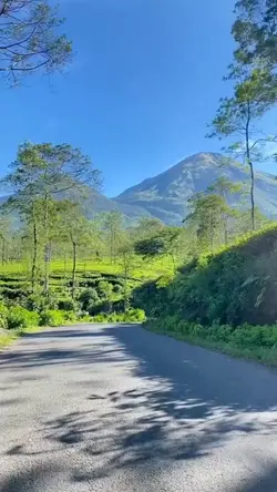 Pemandangan estetik