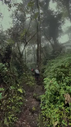 TENANG