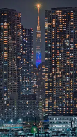 City Light 