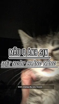 Mẫu 4ảnh sịn 