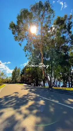 Picnic Dump
