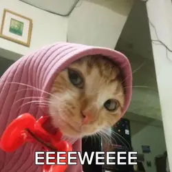 EEEEEEWWWEEEE