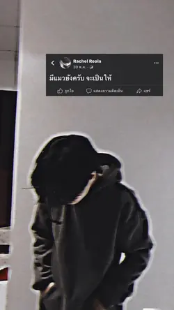 ที่ห้องมีแมวอ๊ะยาง