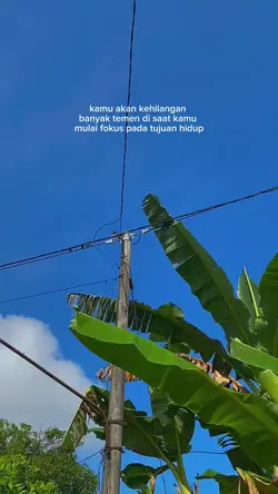 akan kehilangan | 