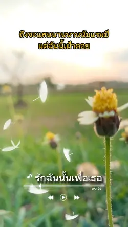 รักฉันนั้นเพื่อเธอ