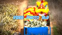 Mẫu Khoe Lân