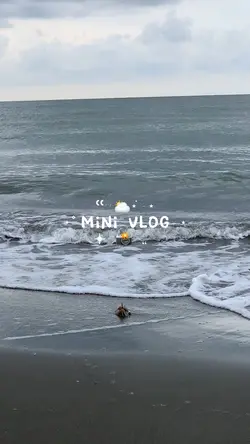 mini vlog