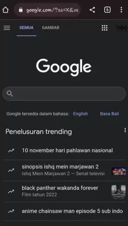 browsing foto