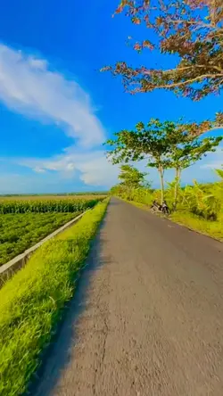 Ngebeat Soundnya
