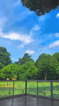 langit
