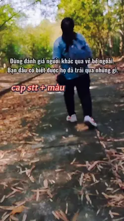 Mẫu Capstory+ Màu 