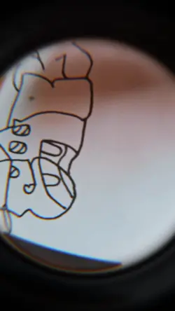 graffiti 