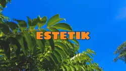 AESTHETIK ALAM 