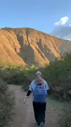 dora the explorer