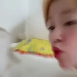 임시저장