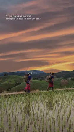 cap+màu
