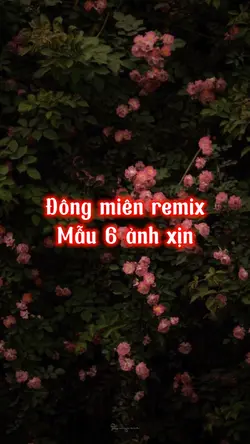 Mẫu 6 ảnh xịn<3