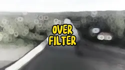 Fly