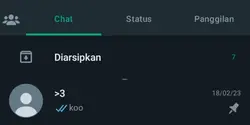 ss chat wa estetic