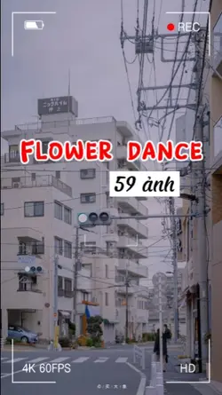 Flower dance 59 ảnh